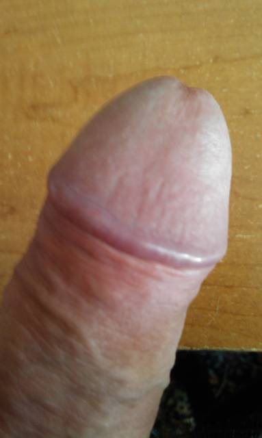 IMAG0492.1.jpg - ny39