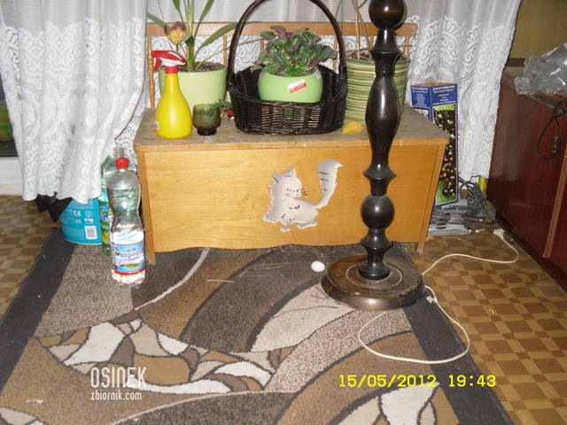 Jednak rodzinnie - osinek