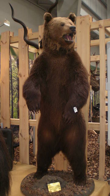 CIMG8333.JPG - malgjace