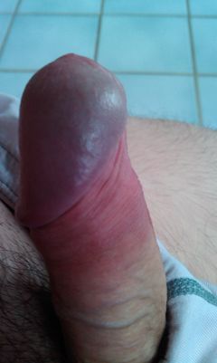 IMAG0500.1.jpg