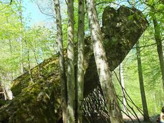 Fragmenty bunkra w Gierłoży