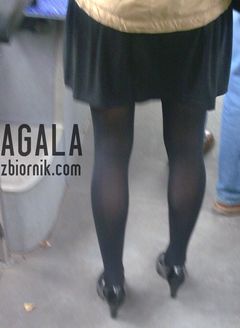 Gbt003cz.jpg