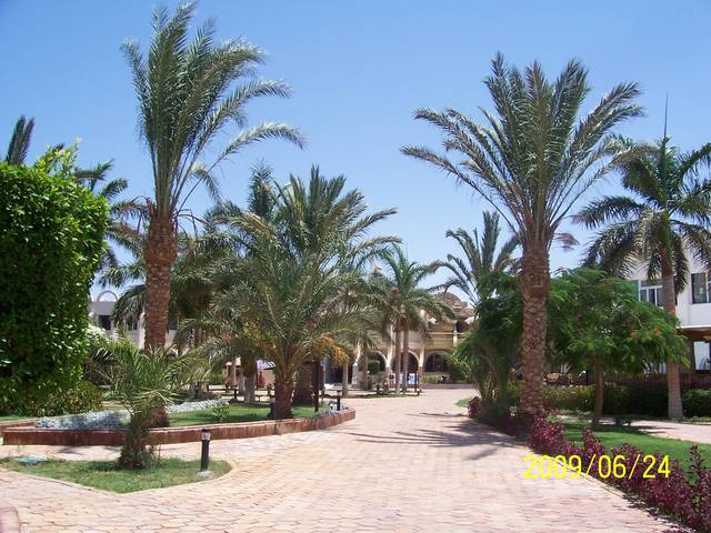 100_2276.JPG - 25091971