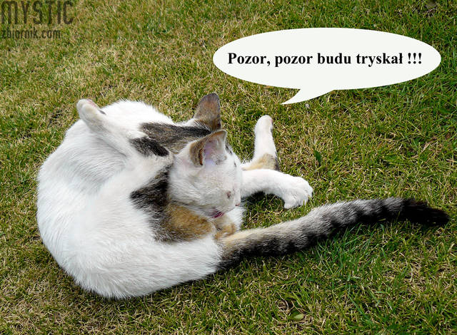 Pewnego dnia - mystic