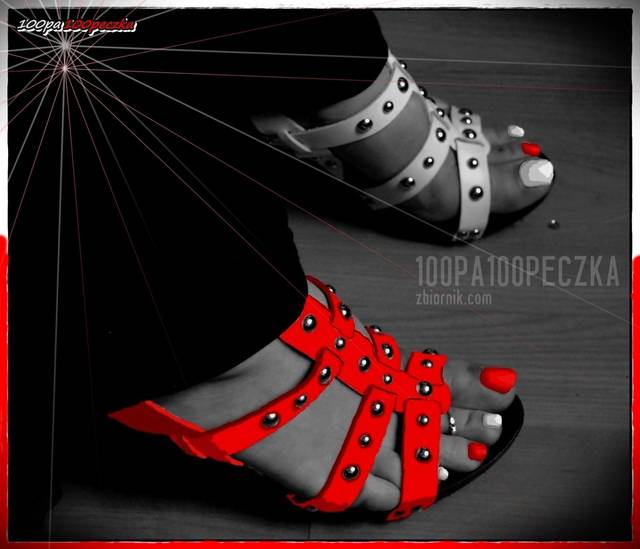 Biało-Czerwoni - 100pa100peczka