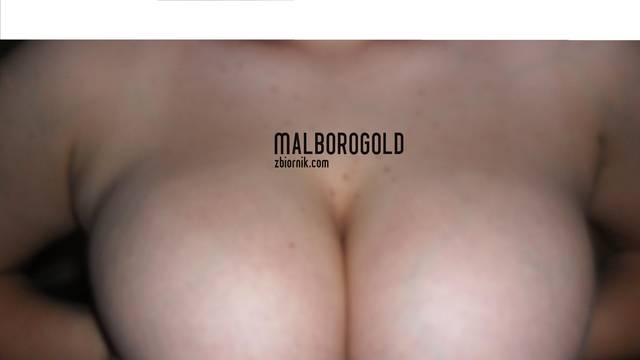 moje maleństwa - malborogold