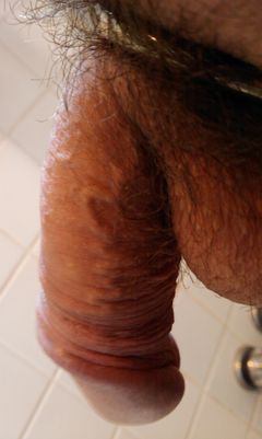 IMAG0558.1.jpg
