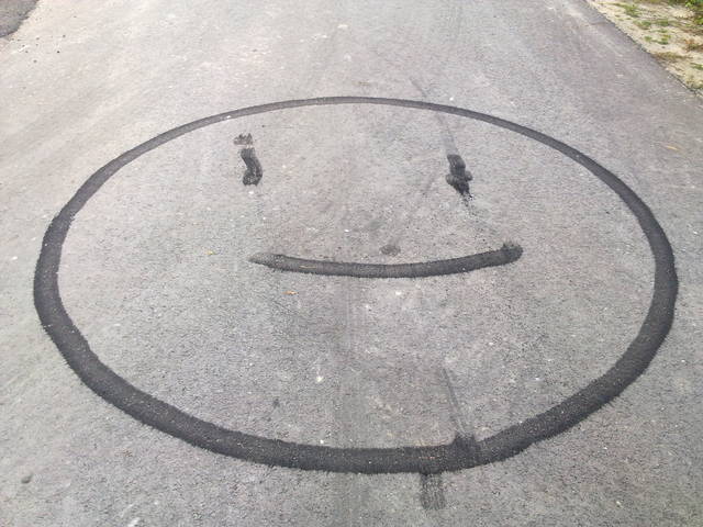 20111002411.jpg - yellowbull