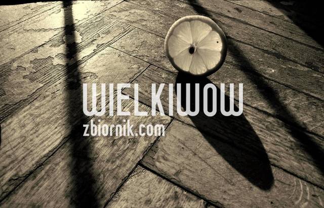 408148_294666087264917_1597694855_n.jpg - wielkiwow