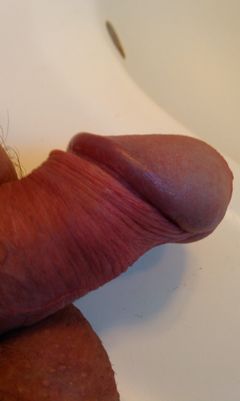 IMAG0631.1.jpg