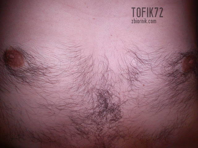 przut - Tofik72