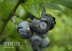 chodź do mnie, czas już na Ciebie