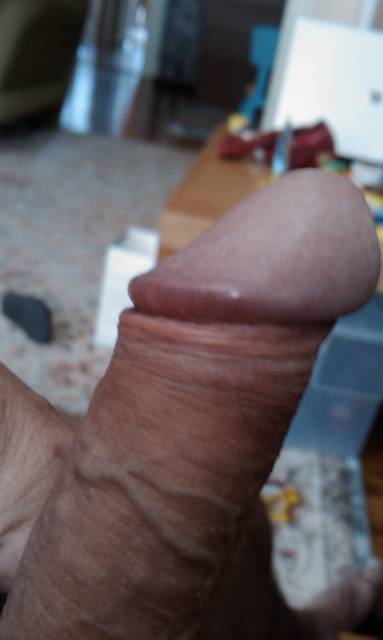 IMAG0642.1.jpg - ny39