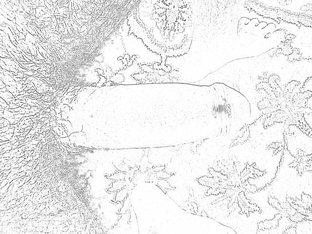 P6300206.JPG - kasztelanb