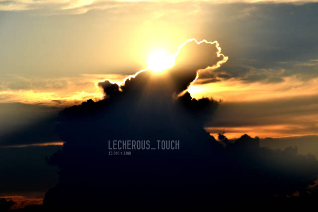 Summer In The City - lecherous_touch