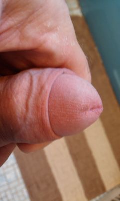 IMAG0668.1.jpg