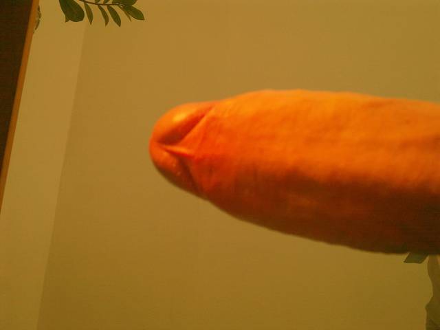 Zdjęcie00981.jpg - akt19cm