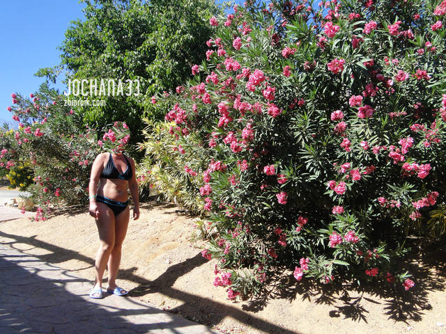 jochana33