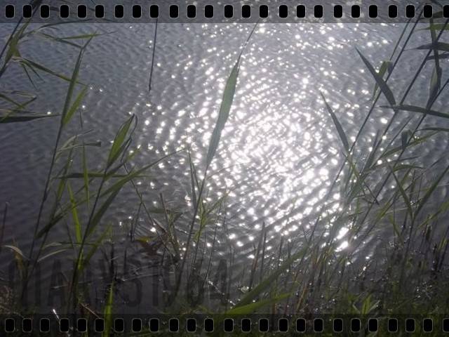 W blasku słońca :)) - marys1964