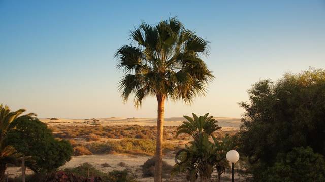 015.jpg - Ona__i__On