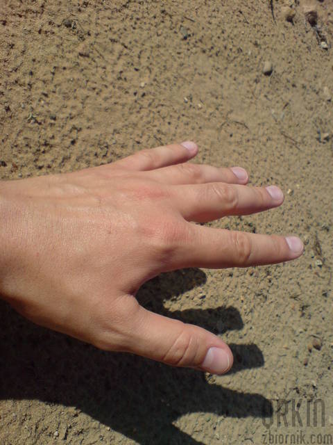 POMOCNA DŁOŃ - QRKIN