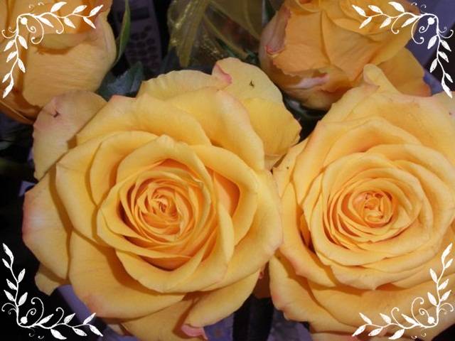 Róże herbaciane dla Ciebie :-*** - marys1964