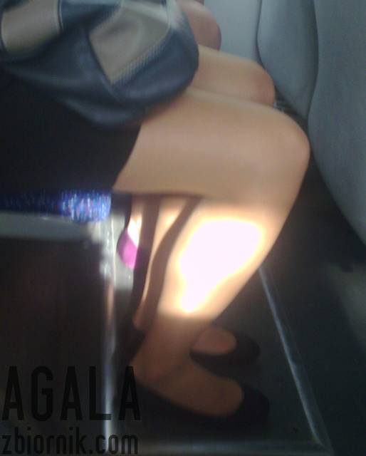 Fma007kl.jpg - AGALA