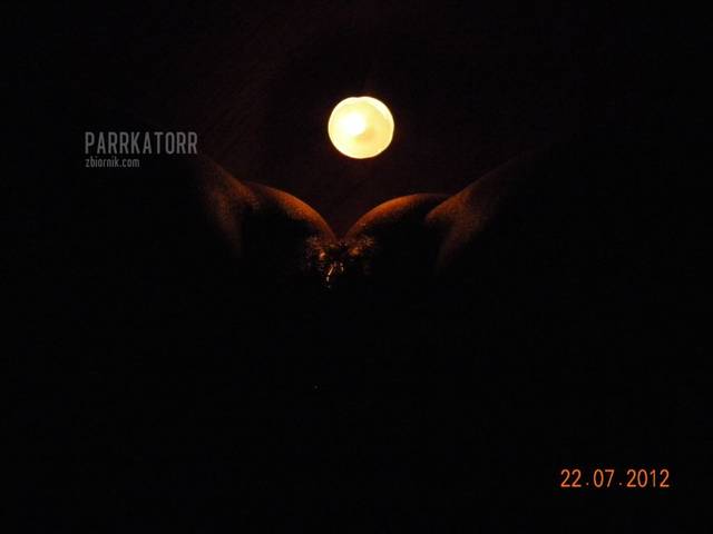 Nocny łowca - parrkatorr