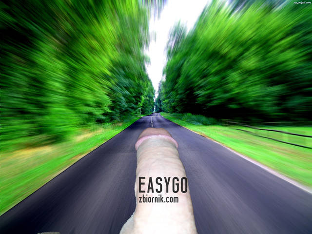 expres - EasyGo