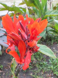 Nieco inna kolorystyka