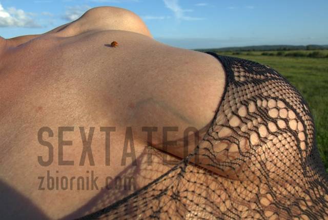 biedronka :) - sextaten