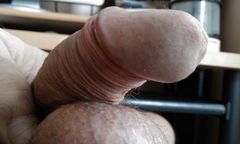 IMAG0730.1.jpg