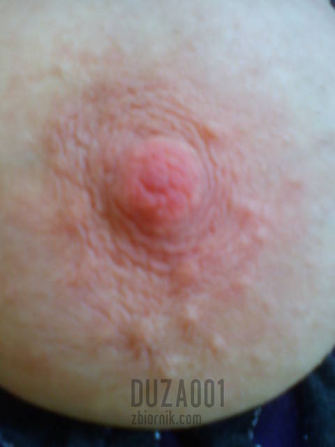 DSC01798.JPG - duza001