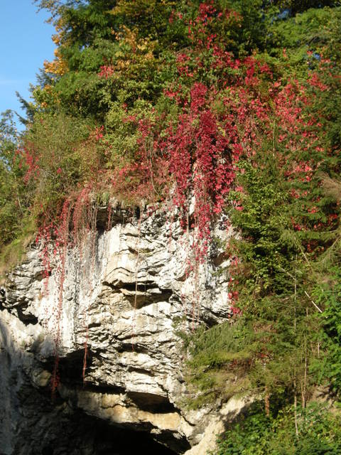 DSCN0369.jpg - lidia33