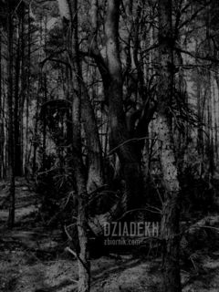 W tym lesie chyba straszy...