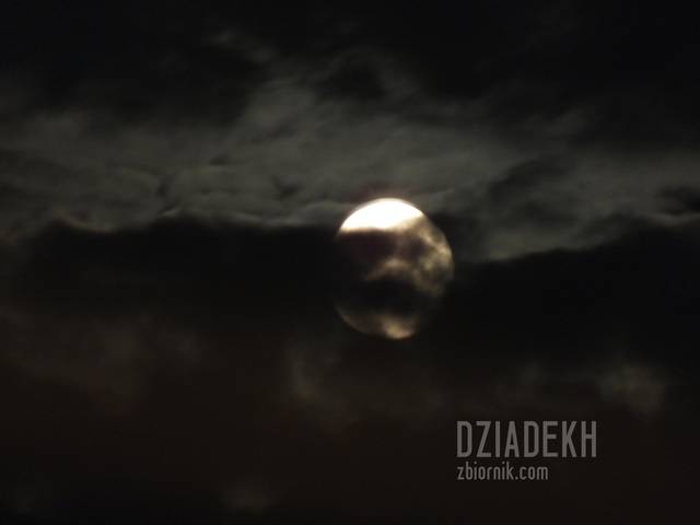 Dla wilkołaków, poetów i tych, którzy mają ochotę powyć - dziadekh