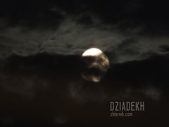 Dla wilkołaków, poetów i tych, którzy mają ochotę powyć