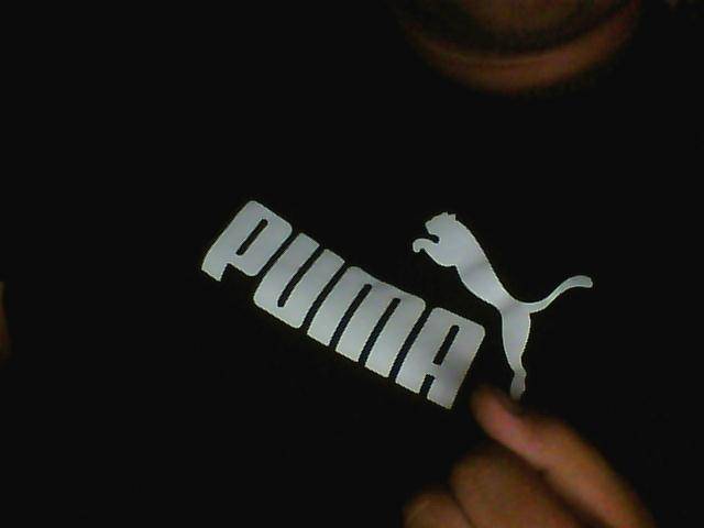 Picture0009.jpg - forrest1994