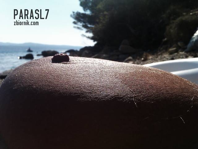 IMAG0315.jpg - parasl7