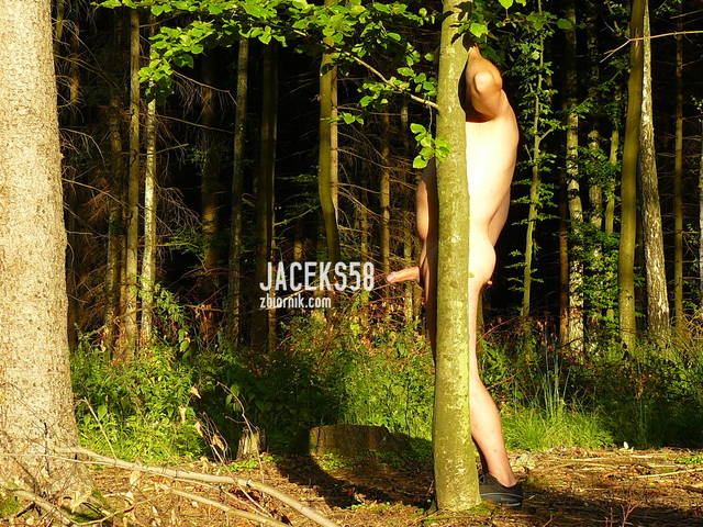 ...i podglądać z za drzewka - jaceks58