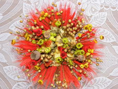 DSCF0009.JPG