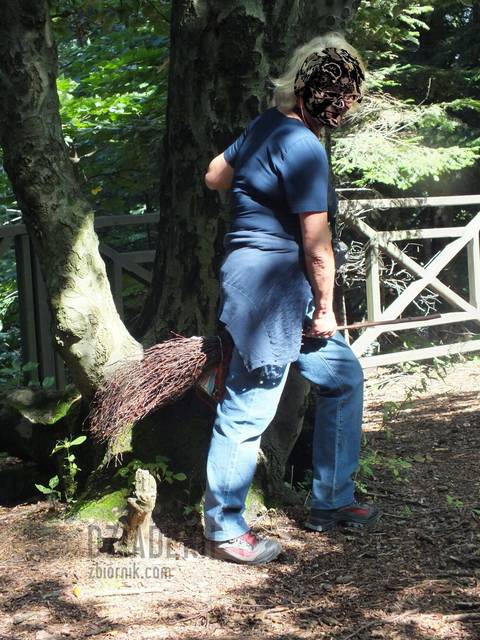 Chyba czarownica - dziadekh