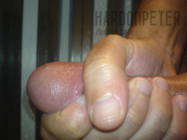 hot week 057.jpg - hardonpeter