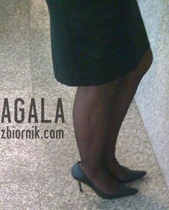 Dgas006cz.jpg