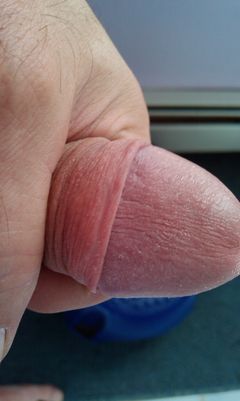 IMAG0875.1.jpg