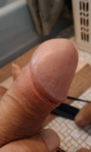 IMAG0897.1.jpg - ny39