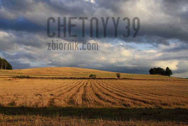 chetnyy39