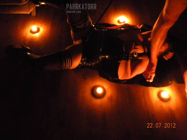 ??art?? - parrkatorr