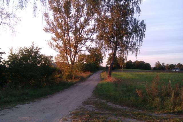 .............. - dick_baba