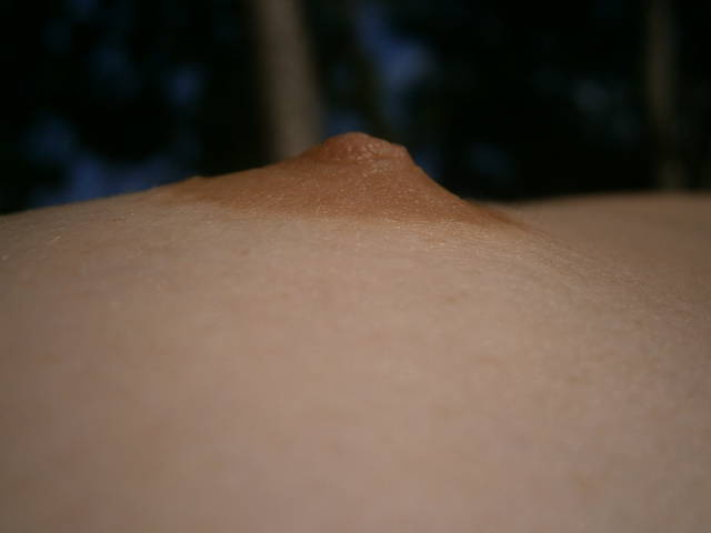 P8040224.JPG - anida30